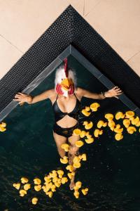 蒙圭尔福克里斯托夫酒店的游泳池里满是鸭子食物的女人