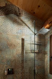 阿迪斯普普伦Stolidi Mou Treehouse的带淋浴的浴室(带石墙)