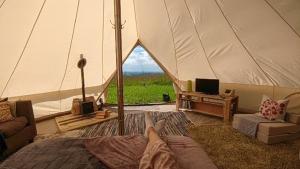 KidwellyFfos Wilkin Glamping & Alpacas的躺在帐篷里的床上的人