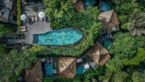 乌布The Kayon Resort的享有带度假村的游泳池的顶部景致