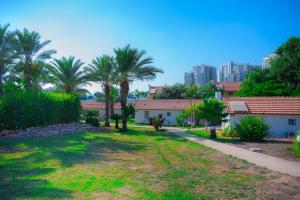 亚实基伦Agamim Hotel Ashkelon的棕榈树庭院和建筑背景