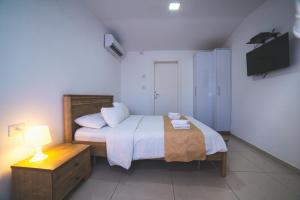 亚实基伦Agamim Hotel Ashkelon的一间小卧室,配有一张床和电视