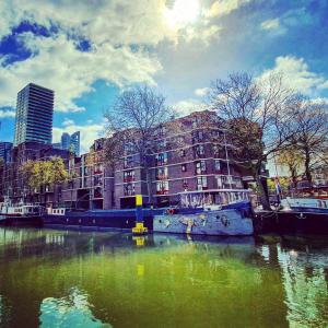 鹿特丹Houseboat holiday apartments Rotterdam的城市前方的绿色水建筑