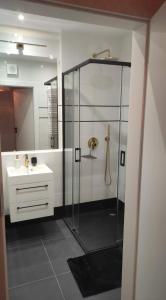 格但斯克SLASKA 12的带淋浴和盥洗盆的浴室
