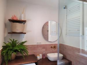 格罗宁根Characteristic ground floor apartment with box bed的带淋浴、盥洗盆和镜子的浴室