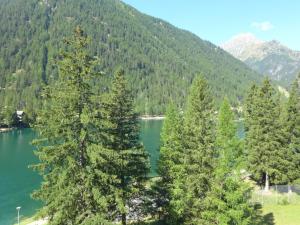 尚佩克斯Apartment Alpes et Lac 28 by Interhome的享有高山前方树木繁茂的湖泊美景