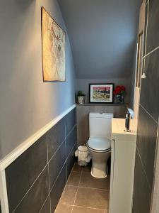 布莱顿霍夫Weslie Guest House的浴室配有白色卫生间和盥洗盆。
