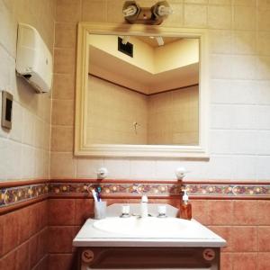 圣佩德罗La Casa del Paraná - San Pedro的一间带水槽和镜子的浴室