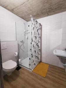 Zgornji Jakobski DolSobe, Rooms B&B - Vina Kauran的带淋浴、卫生间和盥洗盆的浴室