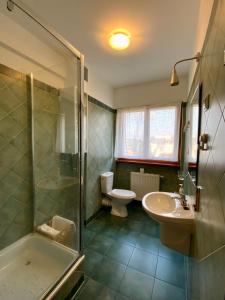 克拉科夫Villa Verona的一间带水槽、淋浴和卫生间的浴室