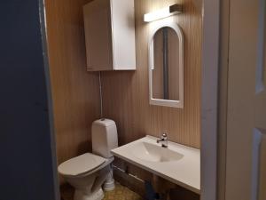 霍萨Holiday House Mäntyniemi的一间带卫生间、水槽和镜子的浴室