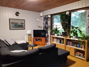霍萨Holiday House Mäntyniemi的带沙发和电视的客厅