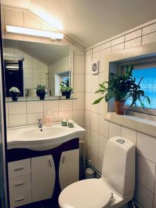 GjesværNorthcape Nature Rorbuer - 2 - Balcony South的一间带卫生间、水槽和镜子的浴室