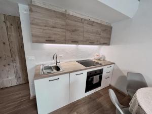 拉瓦罗内Loft Malga Laghetto的厨房配有白色橱柜和水槽