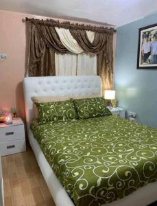 黎牙实比Delightful House in the Heart of Legazpi, Albay.的一间卧室设有一张绿色的床和一个窗户。
