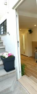格拉纳达Road Sierra 95 Habitación privada con baño y zona de cocina的坐在房子台阶上的一盆花