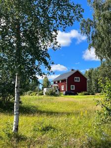 吕克瑟勒,,Björklunda" cozy apartment in swedish lapland的树田里的红谷仓