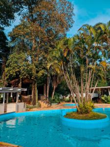 伊瓜苏Suíça Hotel by Nordic的中间有一个棕榈树泳池