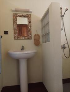 圣玛丽La Tiaré île aux Nattes的一间带水槽和镜子的浴室
