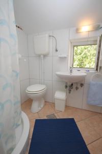 密德维亚Apartments with a parking space Medveja, Opatija - 7721的浴室配有卫生间、盥洗盆和淋浴。