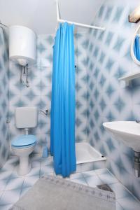 普利兹巴Apartment Prizba 9227b的浴室配有蓝色的浴帘和卫生间