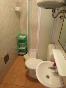 伊齐齐Apartments with a parking space Icici, Opatija - 7860的浴室配有白色卫生间和盥洗盆。