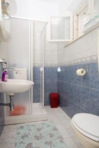 鲁巴达Apartments by the sea Lumbarda, Korcula - 9295的带淋浴、盥洗盆和卫生间的浴室