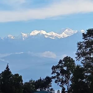 TakdāhHimalayan Cloud's Homestay的享有雪覆盖的山林美景