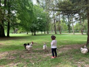 埃尔芒翁维尔Domaine de La Charmille的在一个公园里看着鸡的小女孩