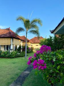 图兰奔Wonder Dive Bali Tulamben Villa's的棕榈树,在紫色花房旁边
