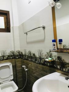 班德勒韦勒Mirador Cottage的一间带卫生间和水槽的浴室