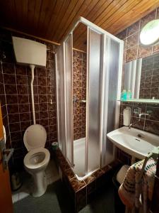 MořinaRestaurace a penzion Na Růžku的带淋浴、卫生间和盥洗盆的浴室