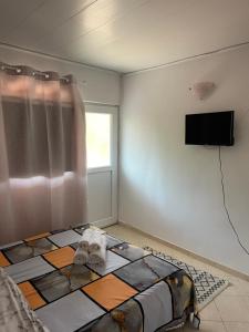 科斯蒂内什蒂Vila Masco的一间卧室配有一张床和一台平面电视