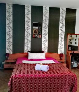 布兰肯堡Große Wohnung mit Terrasse im Altstadtzentrum - Ferienwohnung Chiplakoff的一间卧室配有一张带红色毯子的大床