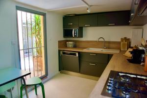 卡西斯L'ATELIER - Piscine - Dans les vignes - Cassis的厨房配有绿色橱柜和水槽