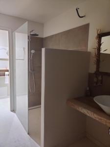莫尔斯chambre d'hôtes Et Puis Voilà!的带淋浴和盥洗盆的浴室