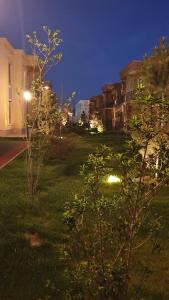TürkistanKERUEN SARAY APARTMENTS 6/2的夜晚在草地上有两个树的院子