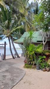 Ban LamaiBeer's House Bungalows เบียร์เฮ้าส์บังกะโล的棕榈树和海洋海滩上的建筑