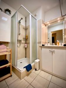波尔多Chambres d'hôtes du Parc Bordelais的带淋浴和盥洗盆的浴室