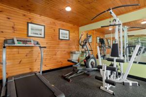 鸽子谷皮金福奇豪生大酒店的一个带木镶板和两台跑步机的健身房