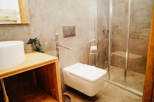 NavésCases Altes de Posada的带淋浴、卫生间和盥洗盆的浴室