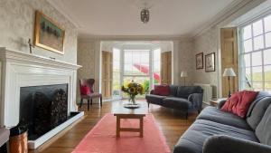 多尔盖罗Bryn Mair的带沙发和壁炉的客厅