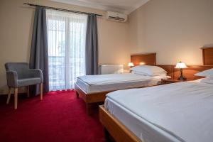 帕利克Hotel Vila Lago的酒店客房设有两张床和窗户。
