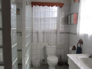 格罗斯岛Delightful 4bed modern villa with WiFI的一间带卫生间和水槽的浴室