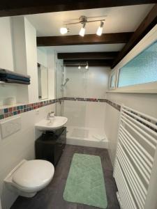 希格斯多夫Ferienwohnung Studio 5的浴室配有卫生间、盥洗盆和淋浴。