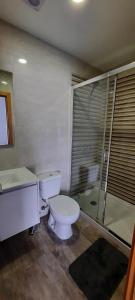 科维良Casa da Fonte Velha - Covilhã的浴室配有卫生间、盥洗盆和淋浴。