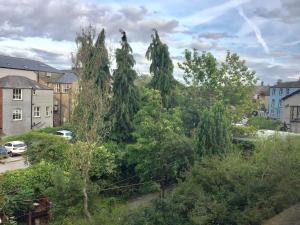 阿尔弗斯顿Beautiful 1-Bed Apartment in central Ulverston的城市里的一群树木和灌木