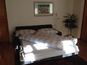 格林德尔瓦尔德洛克博登公寓的卧室里的一张床铺,阳光照耀着