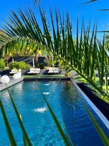 艾克斯莱班杜拉克套房酒店的一座拥有蓝色水和棕榈树的游泳池