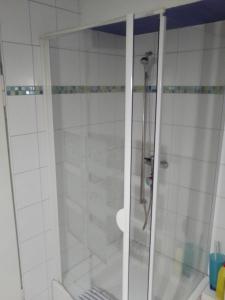 HemhofenHaus Vogelparadies的白色瓷砖浴室内的淋浴
